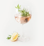 Napa Wine Chiller Bridesmaids 5-Pack